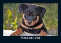 Cover Hundezauber 2026 Fotokalender DIN A5