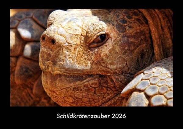 Schildkrötenzauber 2026 Fotokalender DIN A3