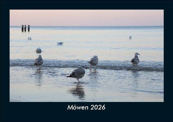 Möwen 2026 Fotokalender DIN A5 Möwen 2026 Fotokalender DIN A5