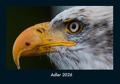 Cover Adler 2026 Fotokalender DIN A4