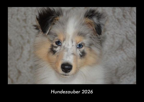Hundezauber 2026 Fotokalender DIN A3 Hundezauber 2026 Fotokalender DIN A3