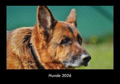 Cover Hunde 2026 Fotokalender DIN A3