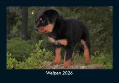 Cover Welpen 2026 Fotokalender DIN A5