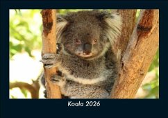 Cover Koala 2026 Fotokalender DIN A5