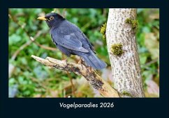 Cover Vogelparadies 2026 Fotokalender DIN A4