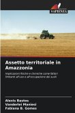 Assetto territoriale in Amazzonia