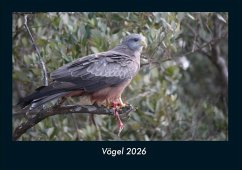 Cover Vögel 2026 Fotokalender DIN A4