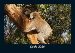 Cover Koala 2026 Fotokalender DIN A5