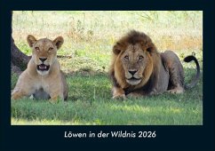 Cover Löwen in der Wildnis 2026 Fotokalender DIN A4