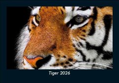 Cover Tiger 2026 Fotokalender DIN A5