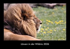 Cover Löwen in der Wildnis 2026 Fotokalender DIN A3