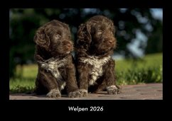 Welpen 2026 Fotokalender DIN A3 Cover Welpen 2026 Fotokalender DIN A3
