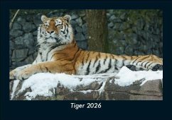 Cover Tiger 2026 Fotokalender DIN A5