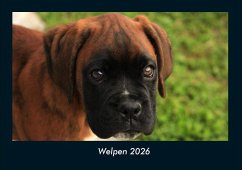 Cover Welpen 2026 Fotokalender DIN A4