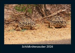 Cover Schildkrötenzauber 2026 Fotokalender DIN A5