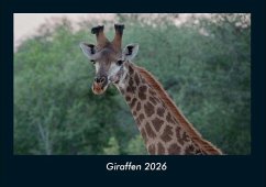 Cover Giraffen 2026 Fotokalender DIN A4
