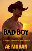 Bad Boy Bad Boy