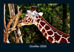 Cover Giraffen 2026 Fotokalender DIN A4
