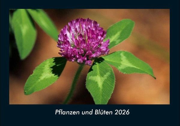 Pflanzen und Blüten 2026 Fotokalender DIN A4