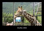 Giraffen 2026 Fotokalender DIN A3