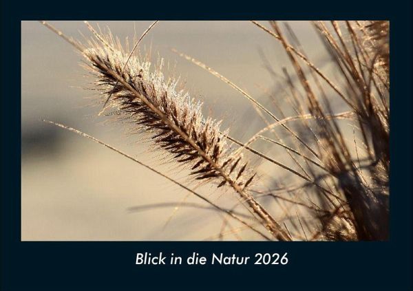 Blick in die Natur 2026 Fotokalender DIN A4