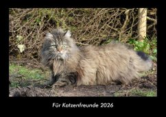 Cover Für Katzenfreunde 2026 Fotokalender DIN A3