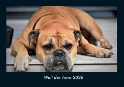 Cover Welt der Tiere 2026 Fotokalender DIN A4