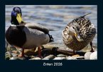 Enten 2026 Fotokalender DIN A4