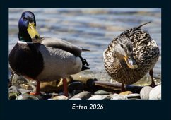 Cover Enten 2026 Fotokalender DIN A4