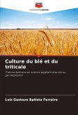 Culture du blé et du triticale