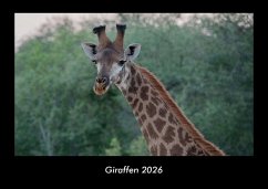 Cover Giraffen 2026 Fotokalender DIN A3