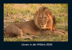 Cover Löwen in der Wildnis 2026 Fotokalender DIN A4