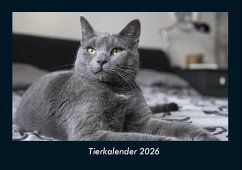 Cover Tierkalender 2026 Fotokalender DIN A4