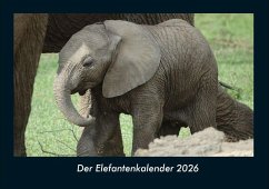 Cover Der Elefantenkalender 2026 Fotokalender DIN A4