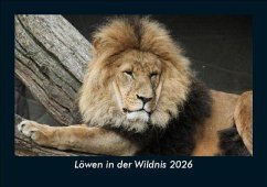 Cover Löwen in der Wildnis 2026 Fotokalender DIN A5