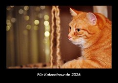 Cover Für Katzenfreunde 2026 Fotokalender DIN A3