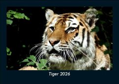 Cover Tiger 2026 Fotokalender DIN A5