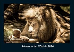 Cover Löwen in der Wildnis 2026 Fotokalender DIN A4
