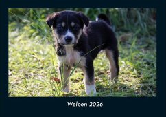 Cover Welpen 2026 Fotokalender DIN A4