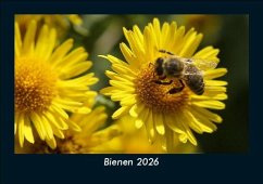 Cover Bienen 2026 Fotokalender DIN A5