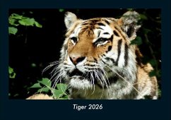 Cover Tiger 2026 Fotokalender DIN A4