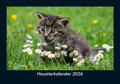 Cover Haustierkalender 2026 Fotokalender DIN A5