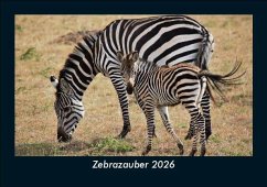 Cover Zebrazauber 2026 Fotokalender DIN A5
