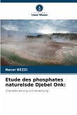 Etude des phosphates naturelsde Djebel Onk: Etude des phosphates naturelsde Djebel Onk:
