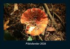 Pilzkalender 2026 Fotokalender DIN A4