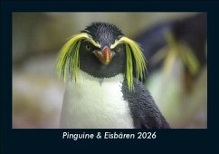 Cover Pinguine & Eisbären 2026 Fotokalender DIN A5