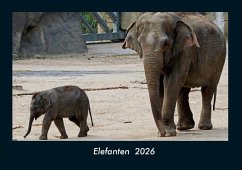 Cover Elefanten 2026 Fotokalender DIN A4