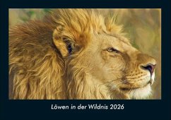 Cover Löwen in der Wildnis 2026 Fotokalender DIN A4