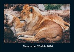 Cover Tiere in der Wildnis 2026 Fotokalender DIN A4