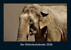 Der Elefantenkalender 2026 Fotokalender DIN A4 - Tobias Becker